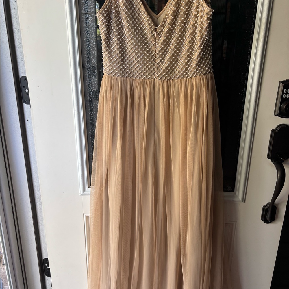Adrianna Papell Beige Gown